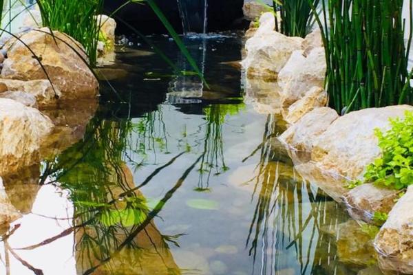 Estanque Lineal Moderno en Tina Metálica con Roca Amarilla en Coacalco